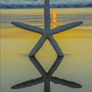 Meet your Posher, Kellie